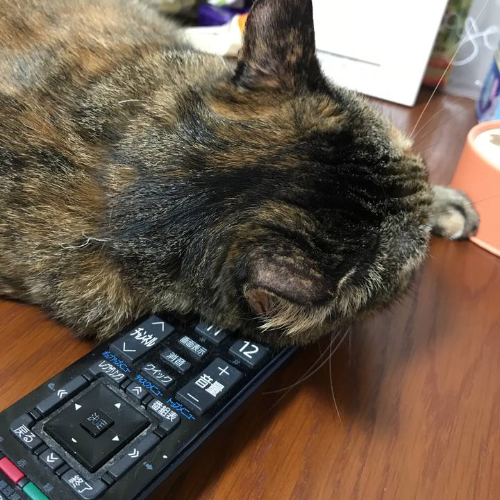 1fc41134 396f 4fd9 b116 112c4fae5475 1538823713735