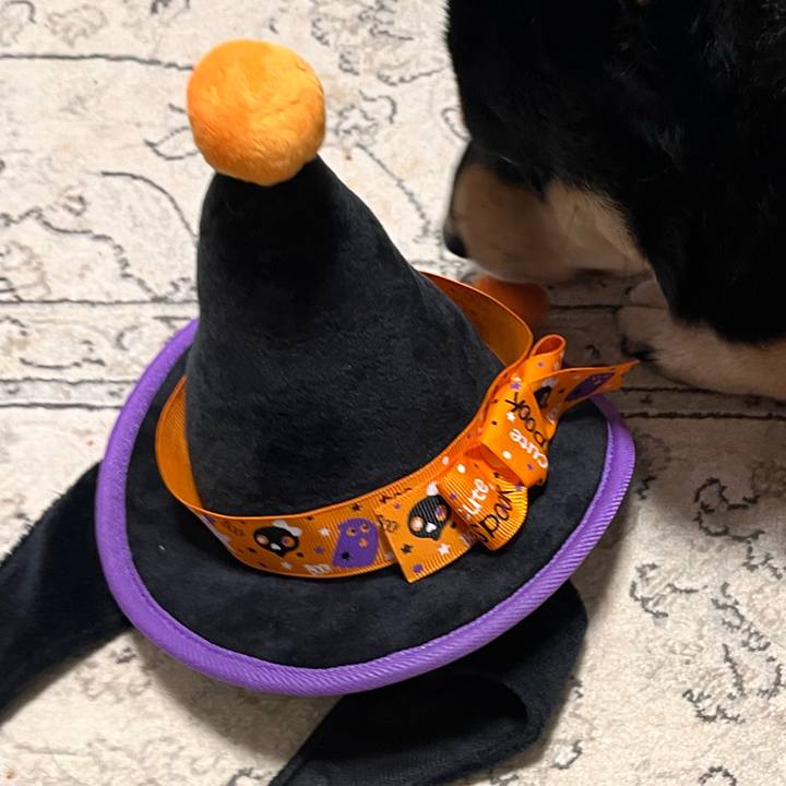 1fc45a8c 02d9 4605 95b7 9c97cf14f8b4 1729498962340