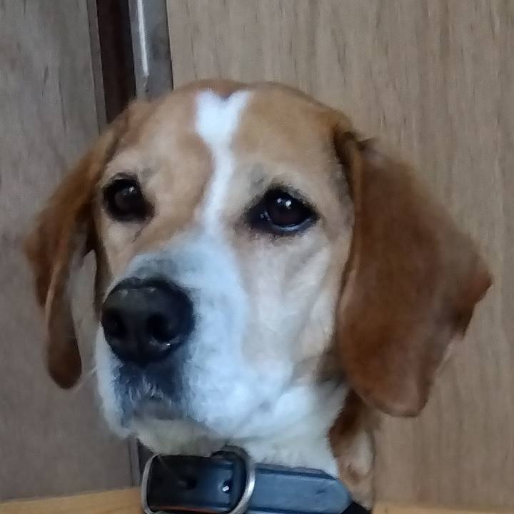 1fc49d38 b159 4e87 9084 a61e1349ef1c 1680957990817