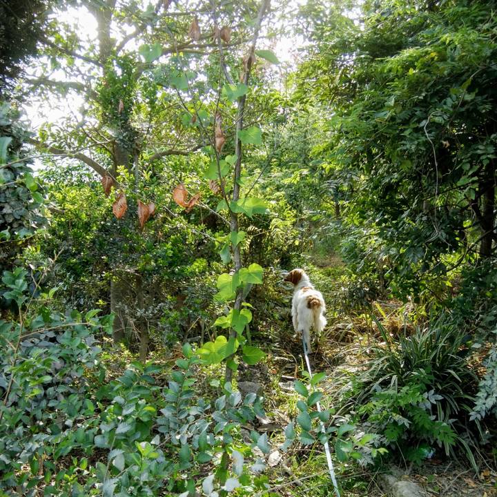 1fc4b64d 3611 4e95 a932 0abf68d7c77e 1534983786347