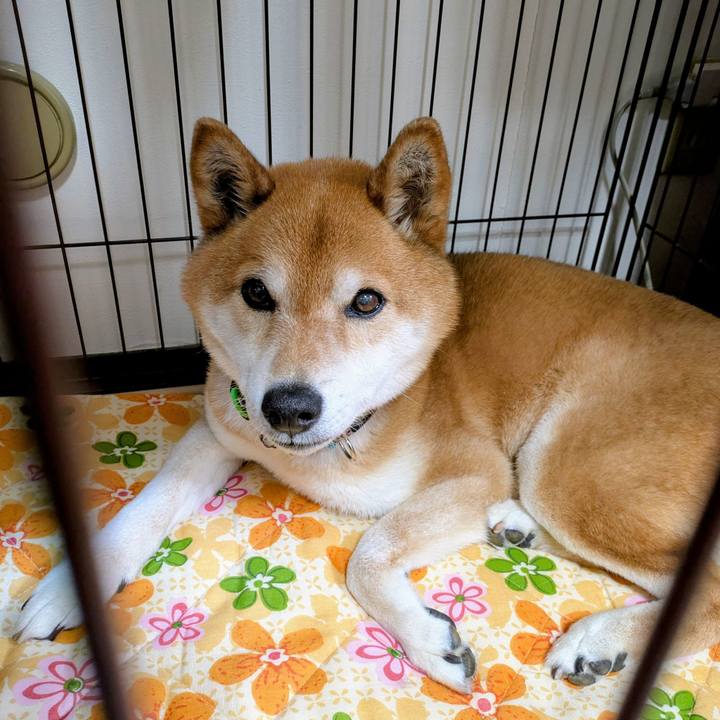 1fc4bb9b 74a6 4618 83eb 1d1e529a98a4 1747189308958