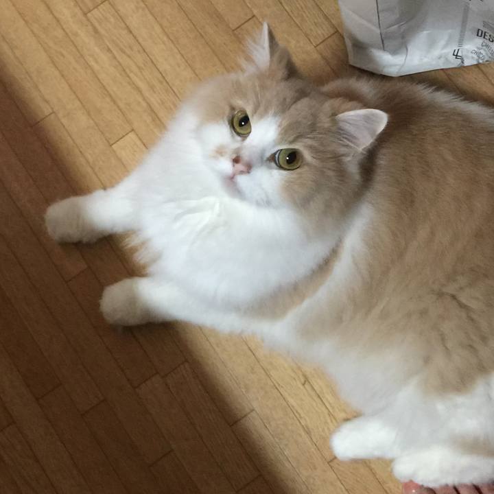 1fc4cb77 3d94 40f0 b2a9 9fdf230cc1ee 1538545399957