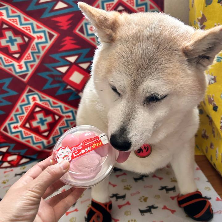 1fc4d3e6 4746 41aa 8f4f 2778a7c9ad64 1738901198032