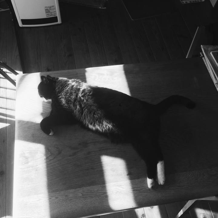 1fc50110 86a8 426b b2ae 2a6eebb8c29c 1580512103561