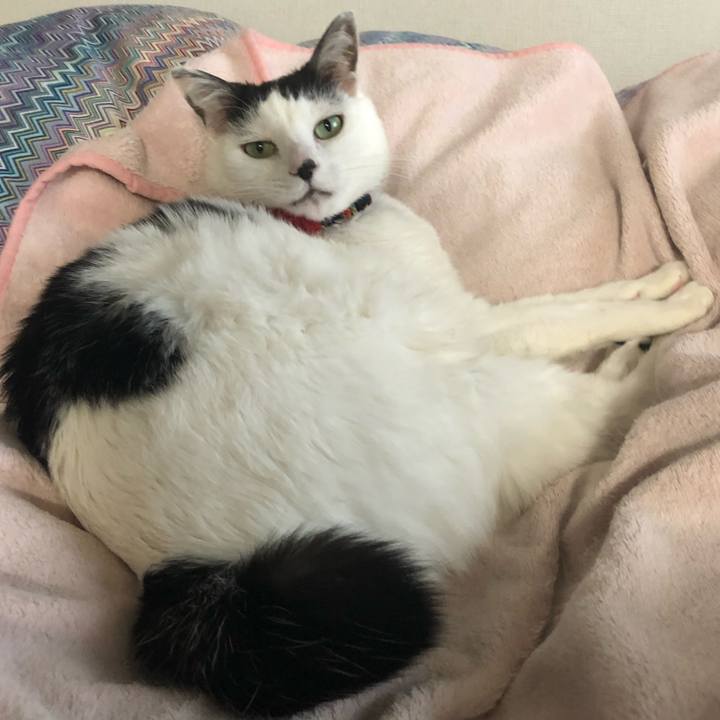 1fc5100e 695a 468c a423 c76a15b9d506 1525908213112