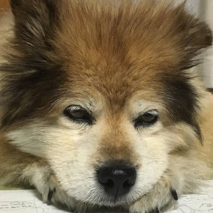 1fc53444 814d 400d a2ac 6b386a6e0e2b 1594783933778