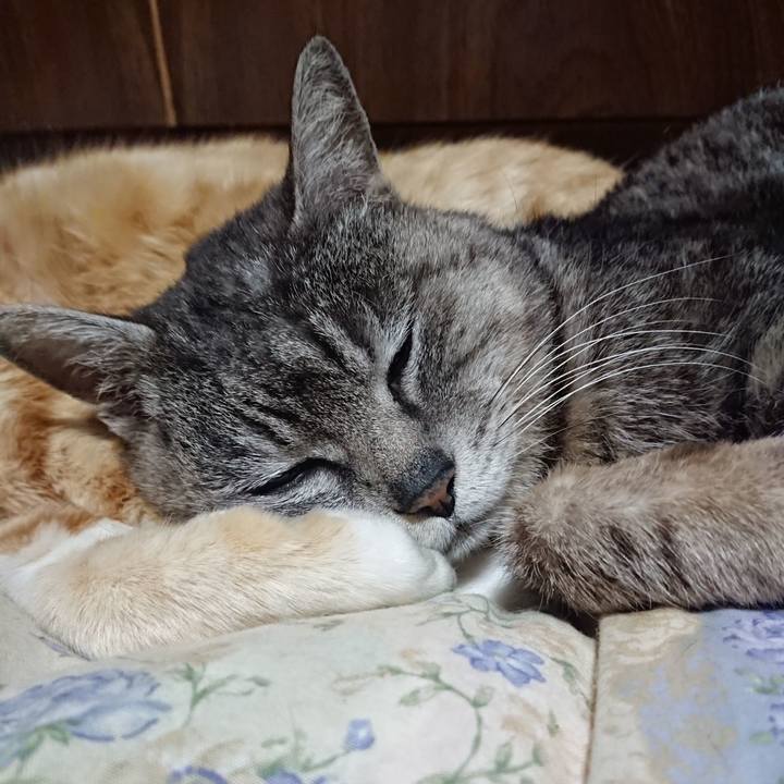 1fc5e75b a3a1 4677 808c 009802b0ba3b 1588077253095