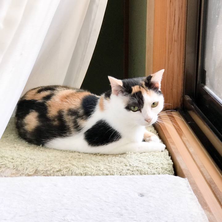 1fc6009f d265 4196 a8f0 5d4465886988 1534898978501