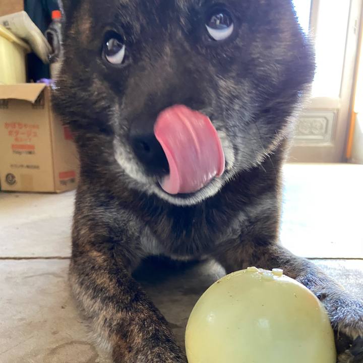 1fc60809 0fc2 4657 a7bc 2ce5f67e6abd 1588665192834