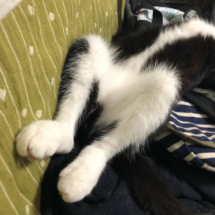 1fc61a8d b237 406b ab35 a147132724bf 1536783644316