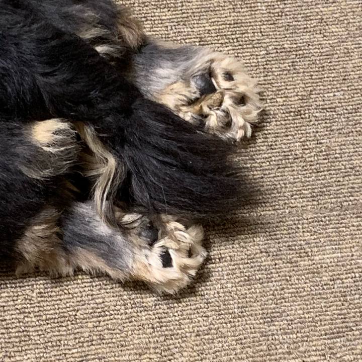 1fc6333f 5441 4483 b4af 351be7422ed2 1575837494929