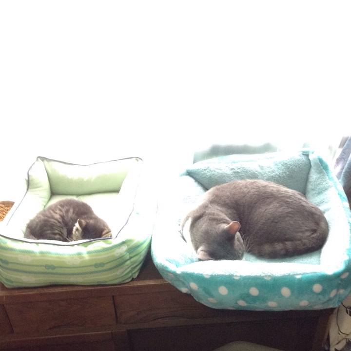 1fc66546 bd9f 492e 96cc edac50c7d135 1529120508193