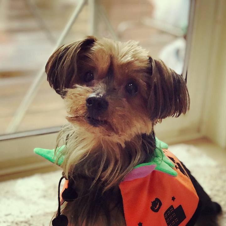 1fc66f51 5e95 4078 ae3f b06d29b0344b 1507939204574