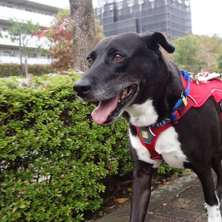 1fc68c7c 96d1 4793 a402 6aaca17ee4ac 1666661273532