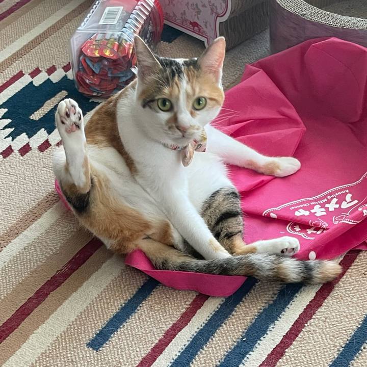 1fc69a6c a365 4d9f b8ce 88b1f81aa86a 1632356846231