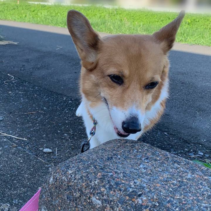 1fc69d39 b70a 47fb 98d2 675779d6357f 1691971338275