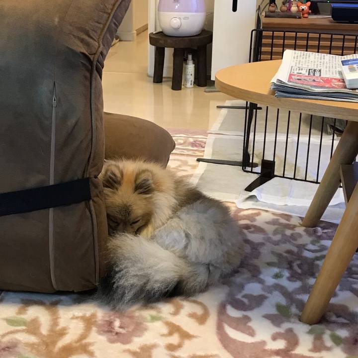 1fc6c783 f1c1 43e7 9a40 93a457470234 1523236226424