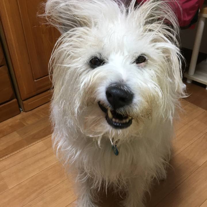 1fc72348 48c3 40cf bd08 bc45f09a777c 1587639725249