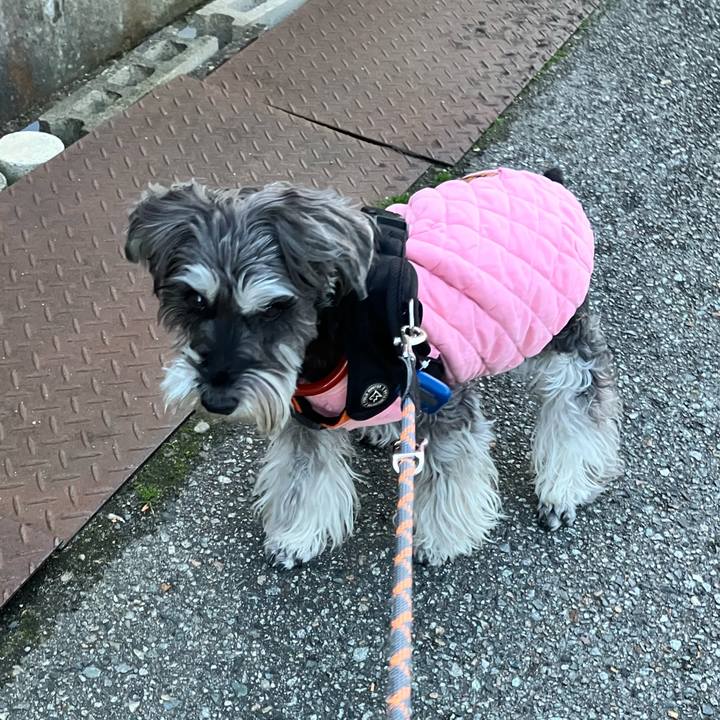 1fc727f3 fdb0 47fc b03b c874d9de4690 1773233274933