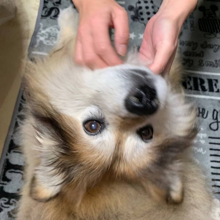 1fc730fc 4299 4144 8567 ae835cad902e 1552297829451