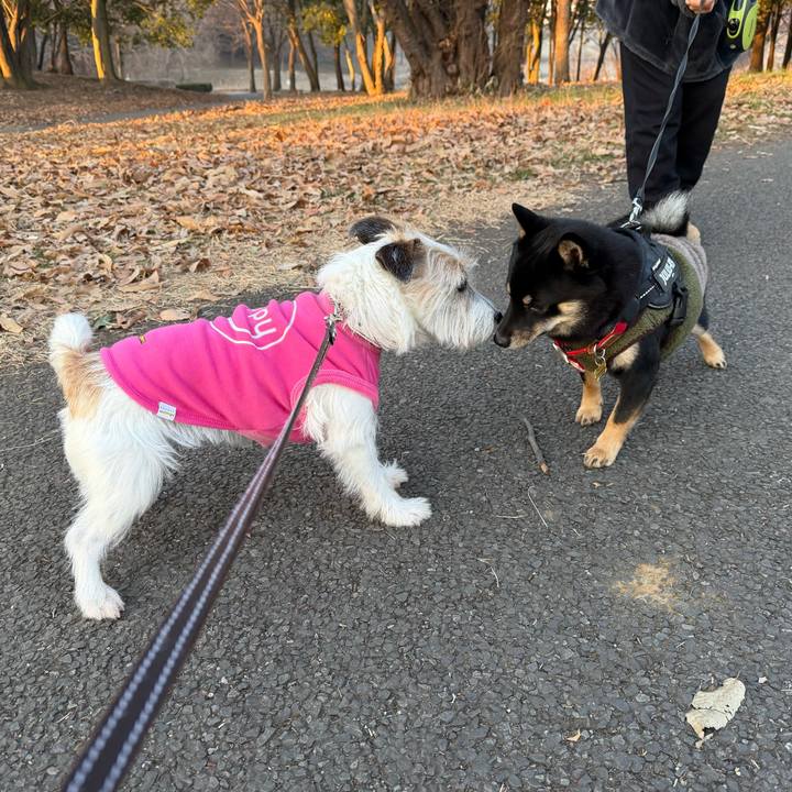 1fc78635 9ae6 4c56 bef1 152b6e938880 1770256830057