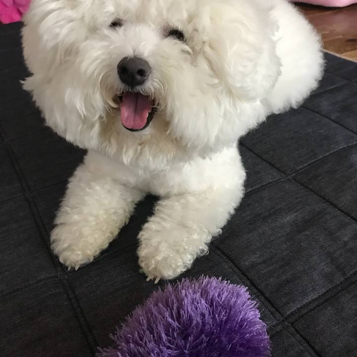 1fc79655 600b 4fd9 93c7 97fdc9bd4105 1528442863589