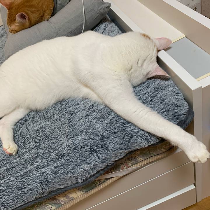 1fc7c41e 4d17 40e7 8949 4527403e8717 1635890511258