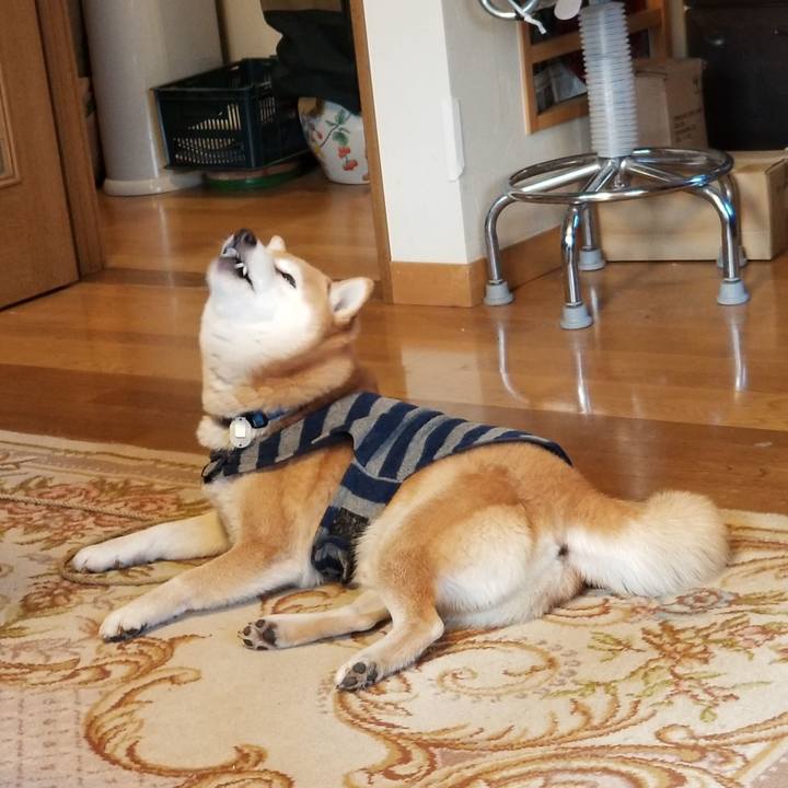 1fc802ca a5af 4533 846c dcae1e554402 1578716424611