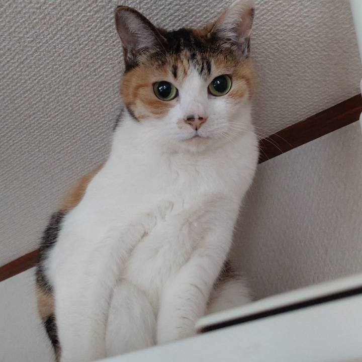 1fc805e3 6602 4674 b10b 998416f9b510 1651362365304