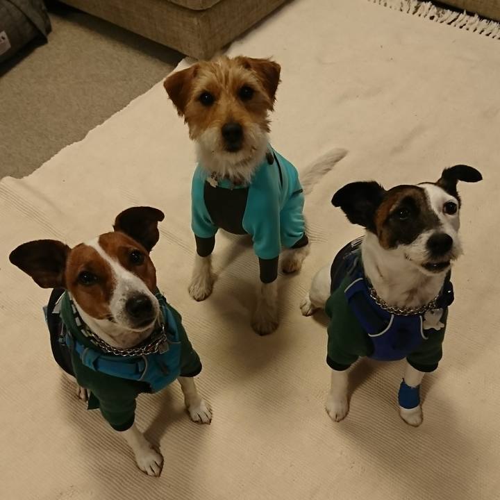 1fc83d63 4773 409c b9d5 0cdc6bf22c28 1612612901167