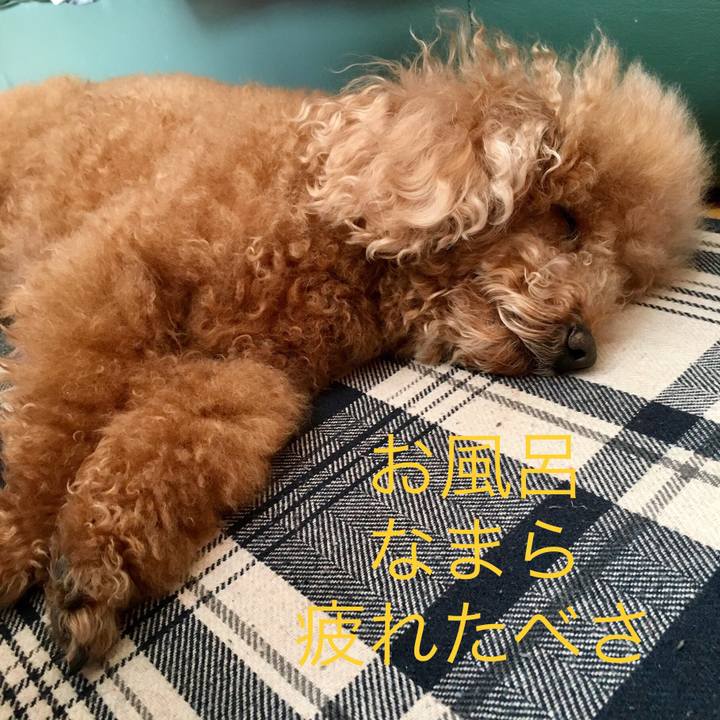 1fc8745d a19f 4b80 a20a 110b5417cd88 1516776260161