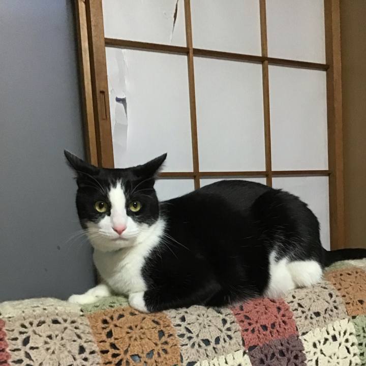 1fc87735 bf24 44f3 a1cc 89988a4e9dcf 1738064865276