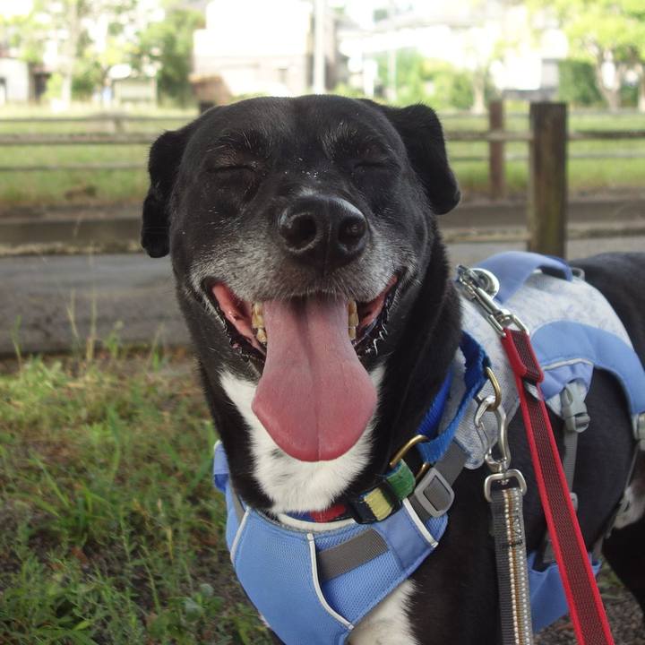 1fc8b5ff 138e 4878 9460 f19f93022353 1691716182166