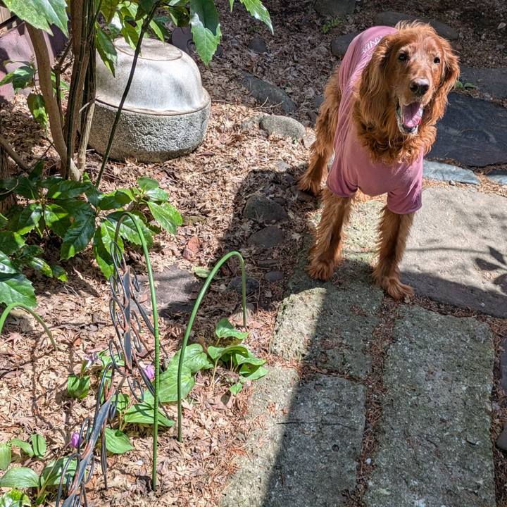 1fc8dd73 61f8 44e1 8b52 756cea2abc8b 1776049211949