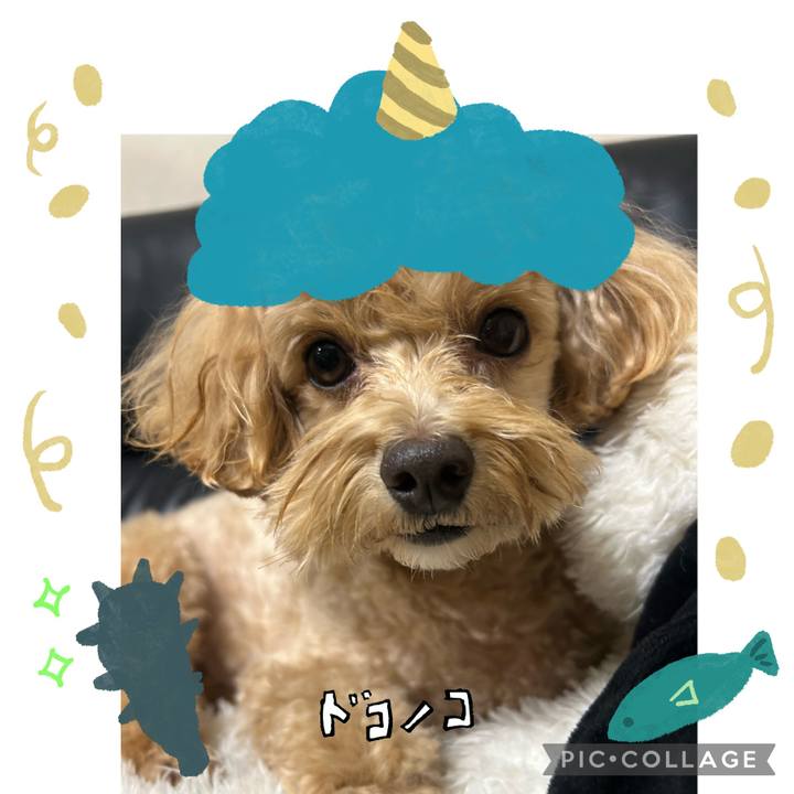 1fc8fb9c 9a3e 47da 9009 3ec342ab2ed8 1706916186307