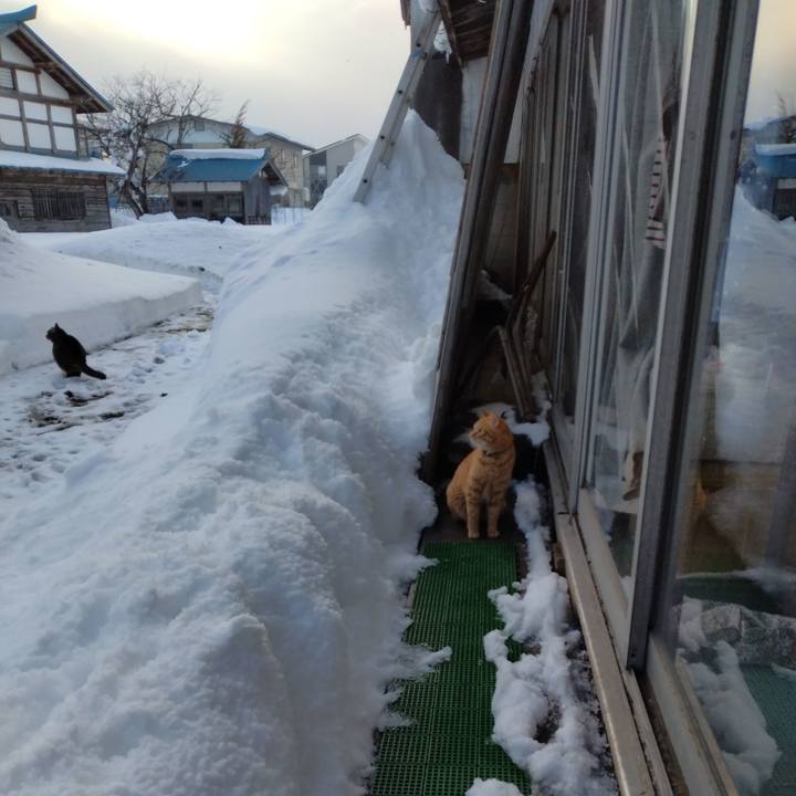 1fc90579 d563 4a6a 8854 15470242ddfd 1672989927751