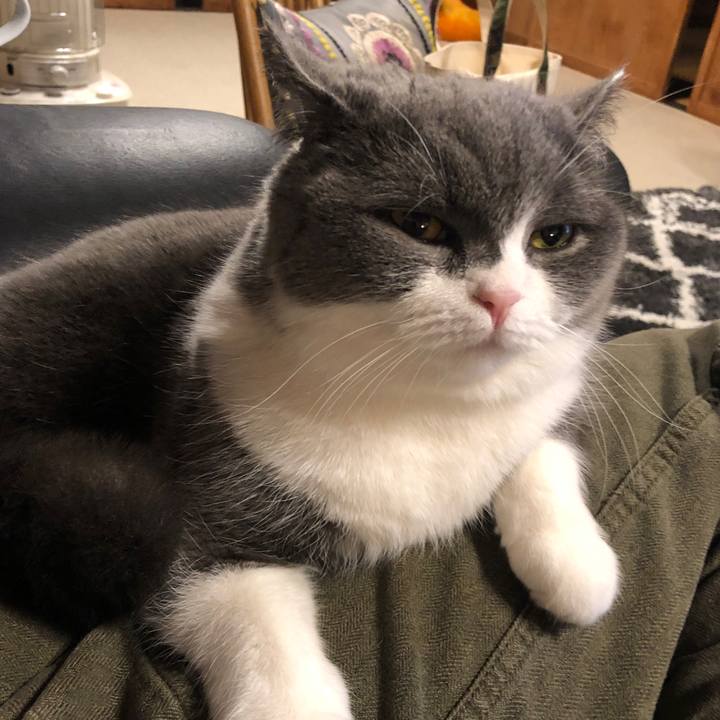 1fc90d6a 9158 4fb8 8cc2 ffcc4e67cc29 1580211835212