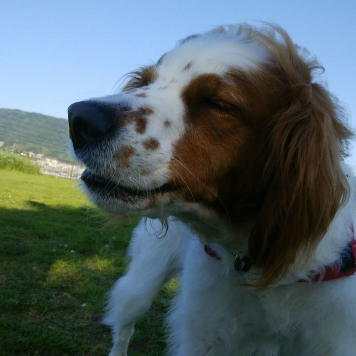 1fc91936 ec81 4aae 913e 57b06fc88842 1526991109085