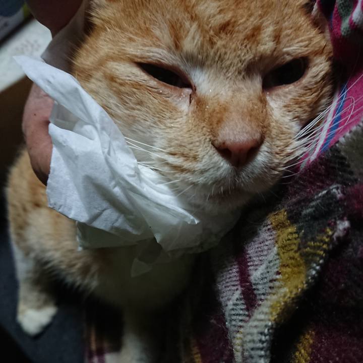 1fc91adf 9ddd 4181 9973 f758c217de74 1582407703063