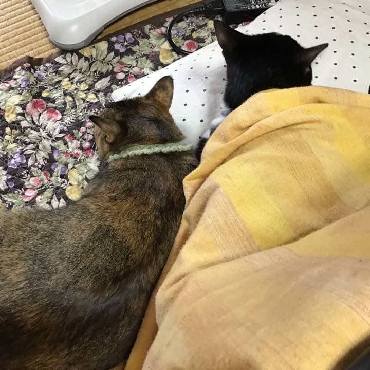 1fc9b0d7 4c6c 4647 8683 26545a540a0c 1640393386974