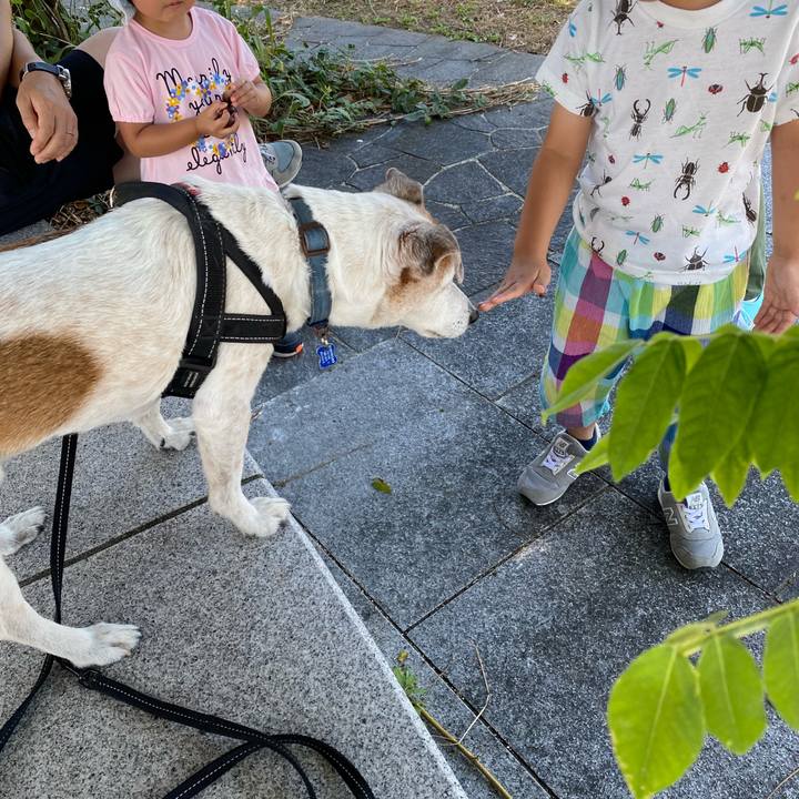 1fc9b12e a9bd 4466 a57a 1c89466c7597 1633246002393