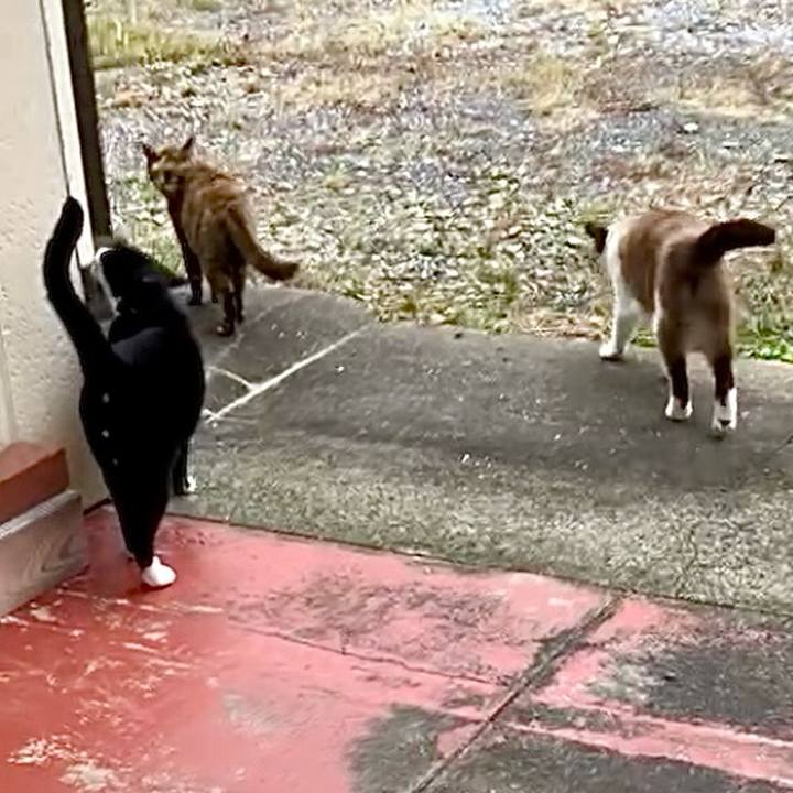 1fca560b a7b8 44b2 a96c 714373be8b0c 1730014196022