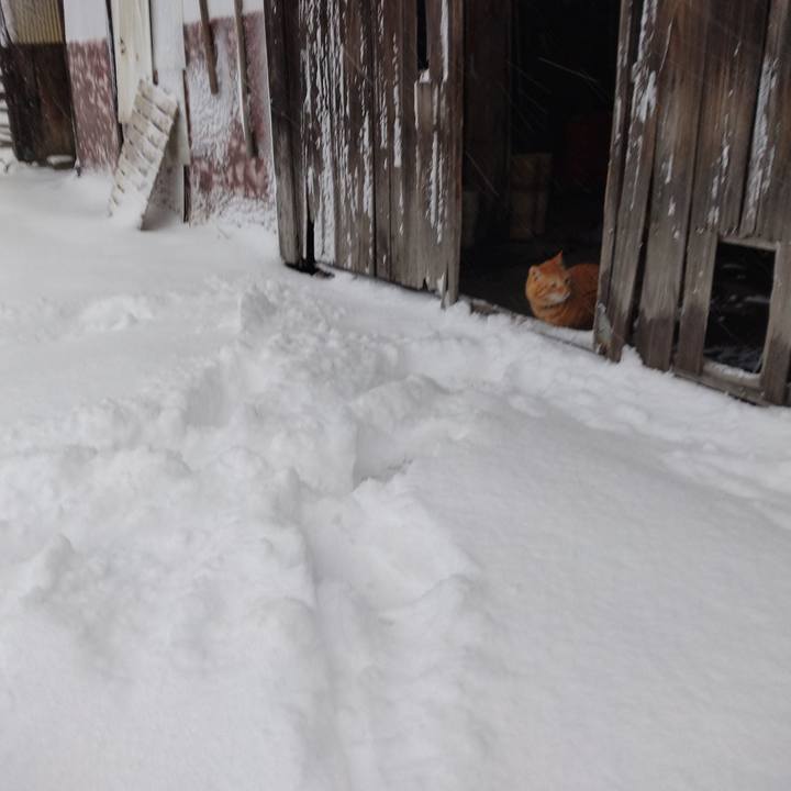 1fca997b e358 4ac8 9c7c b30f7a5e2f94 1677361990978