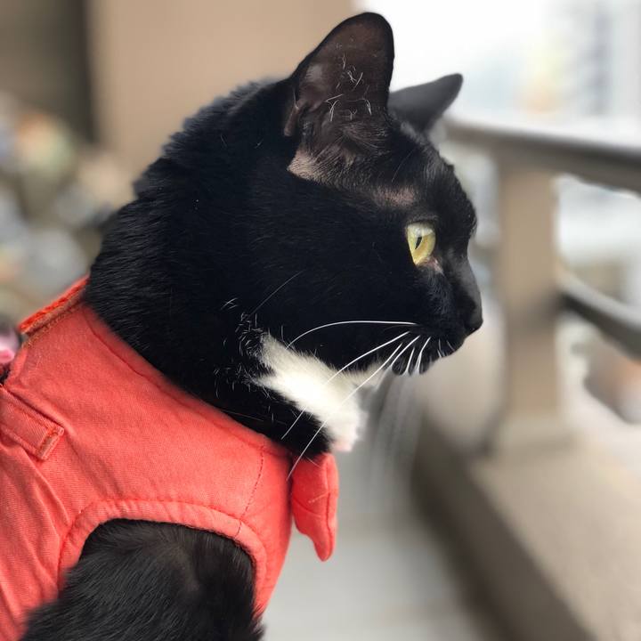 1fcaa141 5623 40f6 8bb6 3f99027b0be2 1523484056354