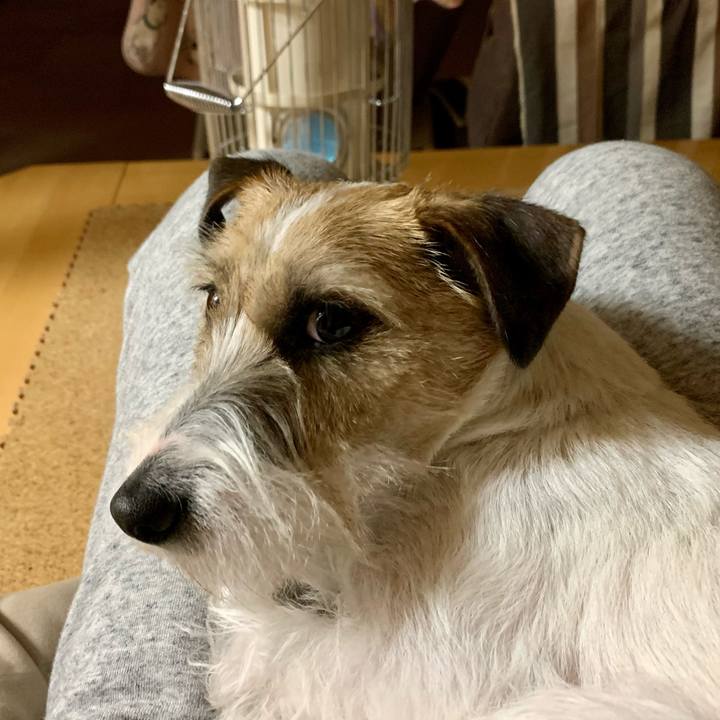 1fcaa424 057a 4f93 b70f 4482e933af79 1609845216766