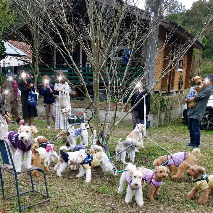 1fcaa645 e8af 44e7 a078 5081cf048e33 1572787135725