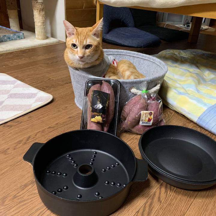 1fcadbbc 20e2 4454 bf71 3e02fc2706a6 1611233534371