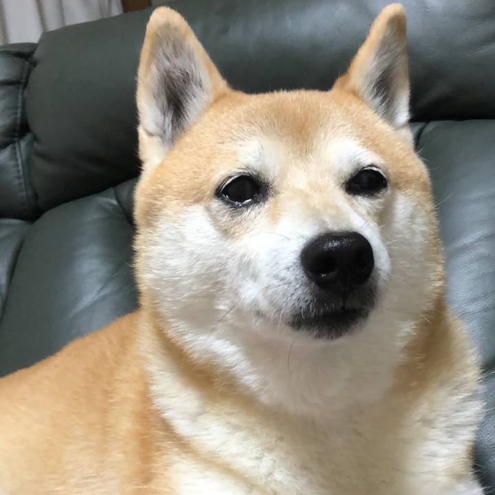 1fcb1485 dfb2 476b 811b d0d44f8e068d 1606365170929