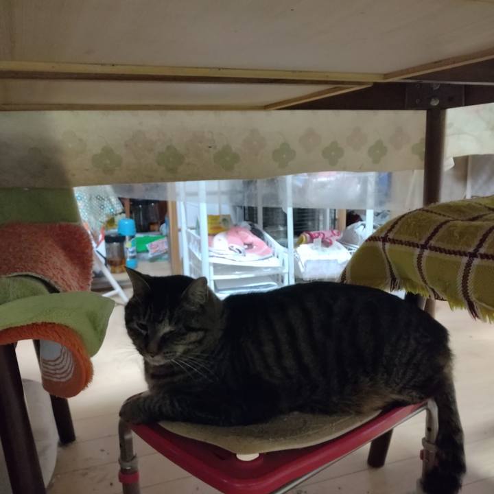 1fcb1e70 ee48 467b 8c12 b91c57905288 1710281507608