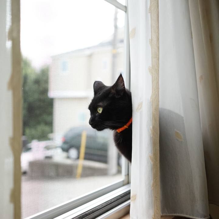 1fcbb23a 18e1 44b5 9e7b ace6748d862f 1537314838917